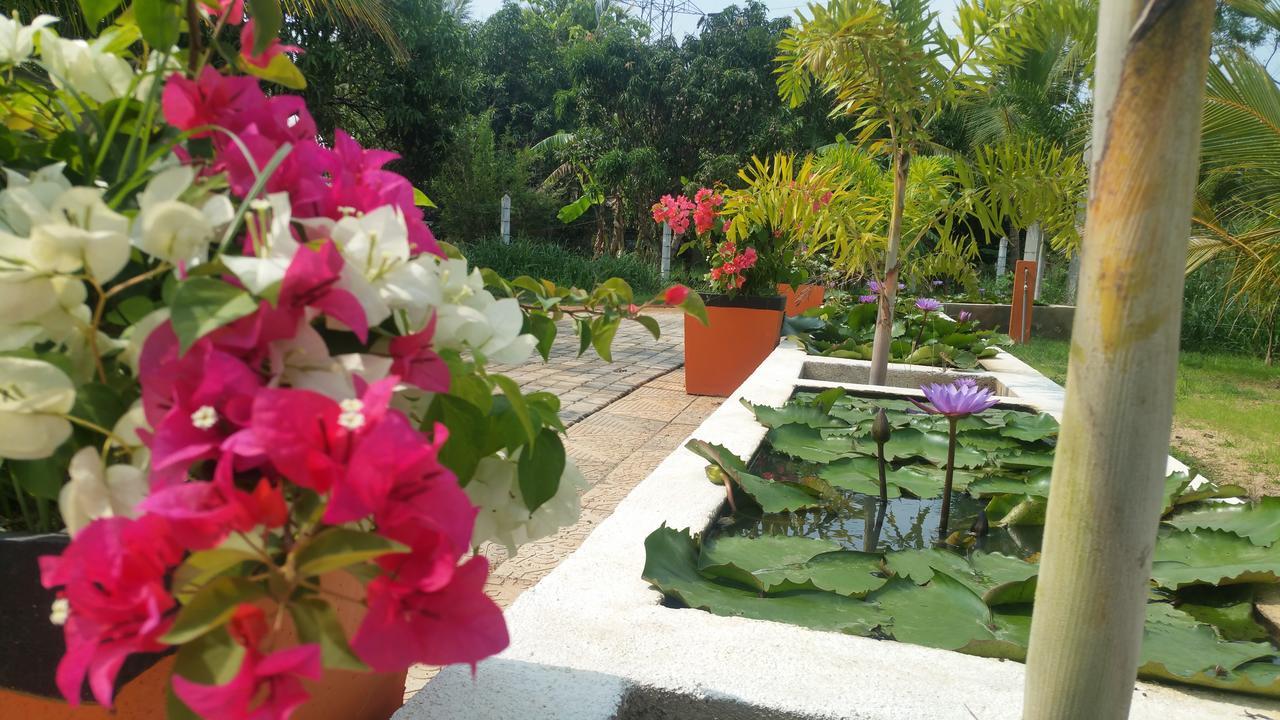 Miheen Hotel & Resort - Anuradhapura Михинтейл Екстериор снимка
