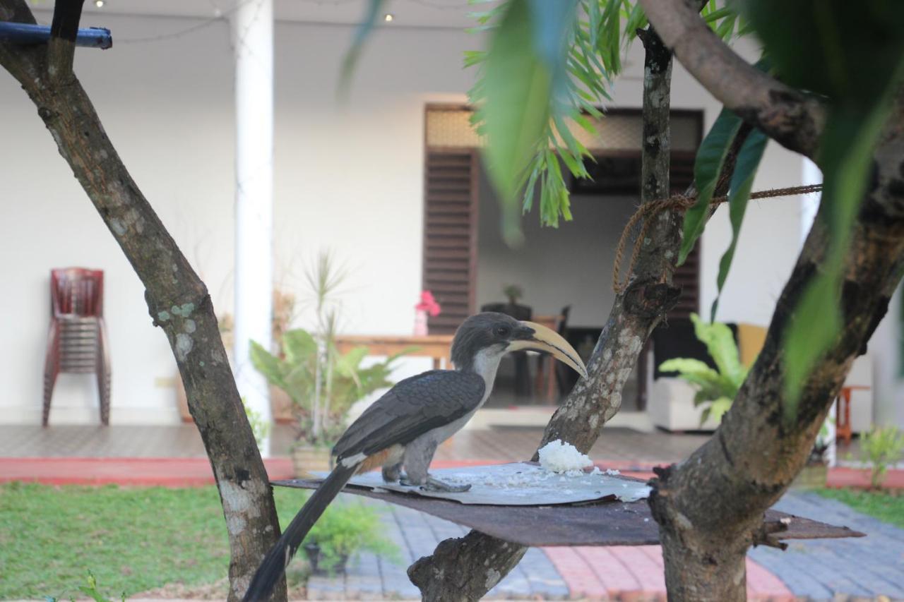 Miheen Hotel & Resort - Anuradhapura Михинтейл Екстериор снимка